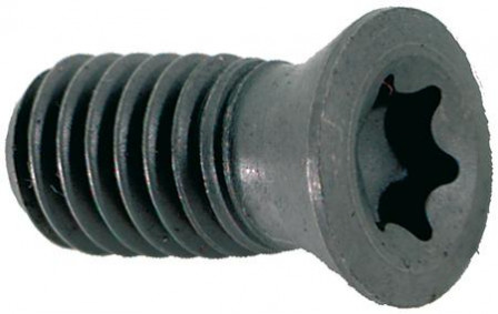 Vis Torx SDMT 12