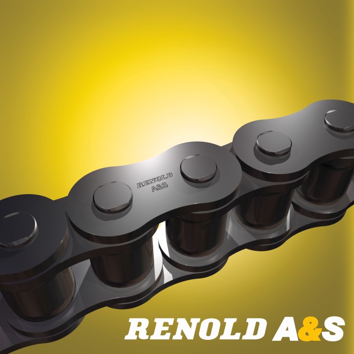CHAINE A ROULEAUX A&S 15,87D 3,05M -10 Ft 50-2 ASA