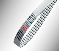 COURROIE DENTEE ALPHA TORQUE 50 AT10/800