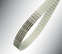 COURROIE DENTEE ALPHA TORQUE 50 T10/1350